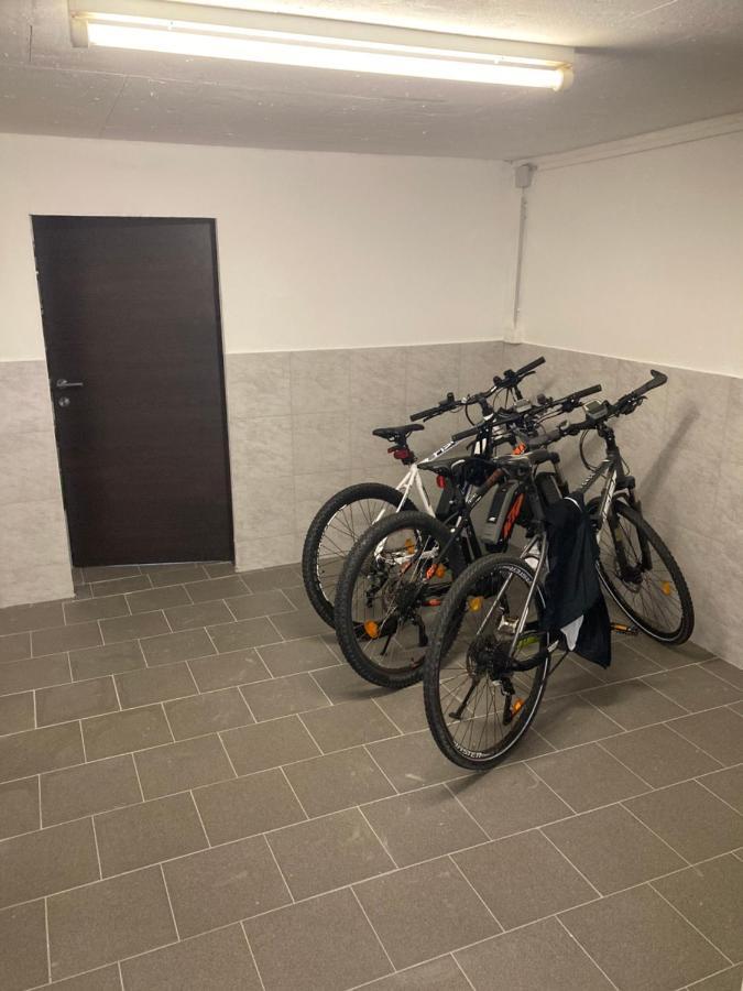 Pension Sunnseitn - Gasthof - Cafe - Weinkeller Haslach an der Mühl Zewnętrze zdjęcie