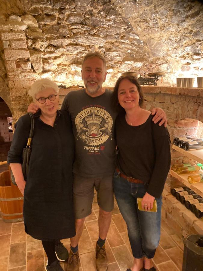 Pension Sunnseitn - Gasthof - Cafe - Weinkeller Haslach an der Mühl Zewnętrze zdjęcie