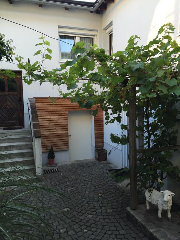 Pension Sunnseitn - Gasthof - Cafe - Weinkeller Haslach an der Mühl Zewnętrze zdjęcie