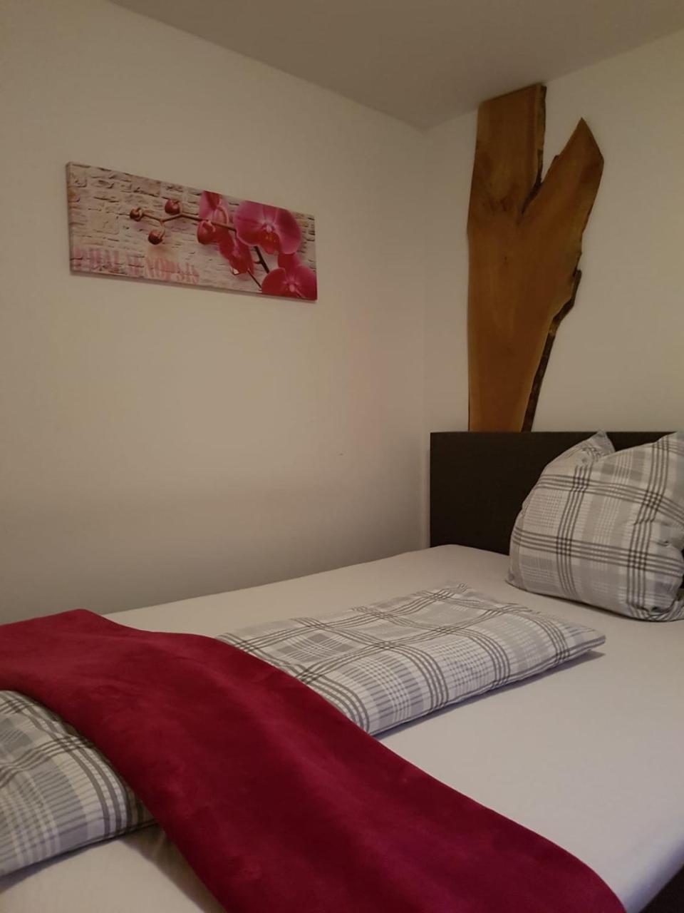 Pension Sunnseitn - Gasthof - Cafe - Weinkeller Haslach an der Mühl Zewnętrze zdjęcie