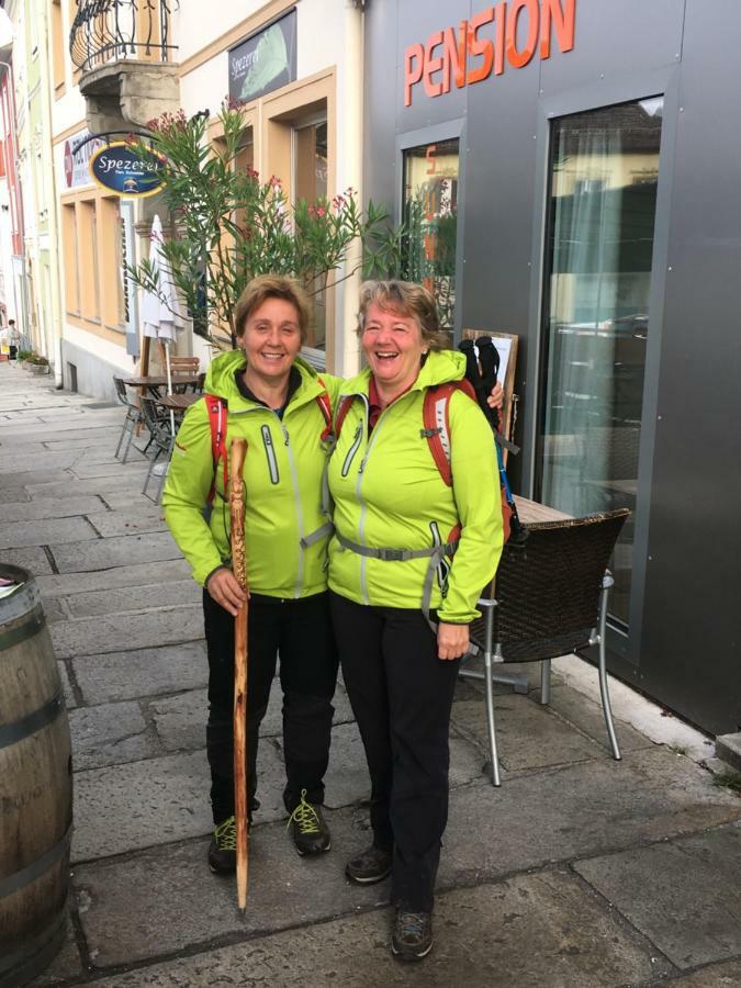 Pension Sunnseitn - Gasthof - Cafe - Weinkeller Haslach an der Mühl Zewnętrze zdjęcie